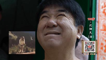 老奶奶打痧放血,100岁奶奶用针刺刮痧