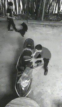 鐤媯鎶ュ鎼炵瑧娈靛瓙,鎼炵瑧娈靛瓙閬囧埌鍧忎汉璁板緱鍙嶅嚮