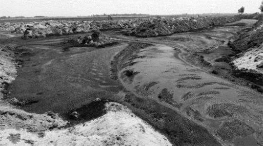 环保入行必备:33个有关于污水处理污泥基础知识,值得学习收藏