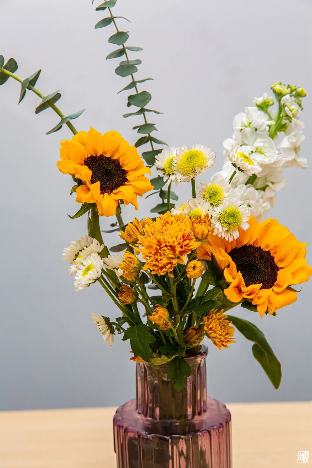 深夜去广州的花卉市场买花,如何逛斗南花卉市场买花便宜