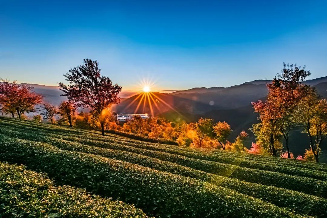 云南淡季旅游线路推荐,云南春季旅行推荐