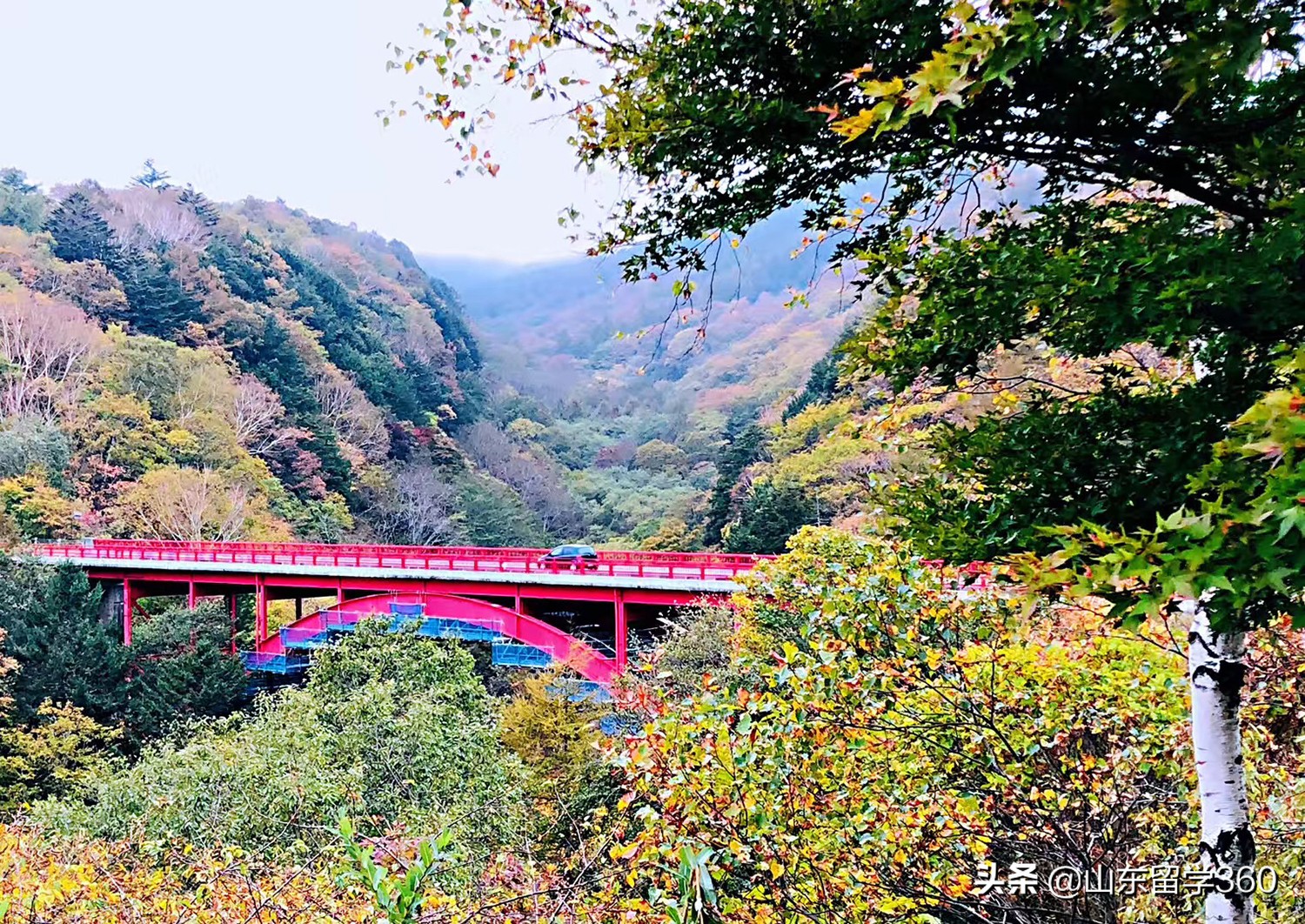 日本留学旅游注意什么,去日本留学需要带什么行李