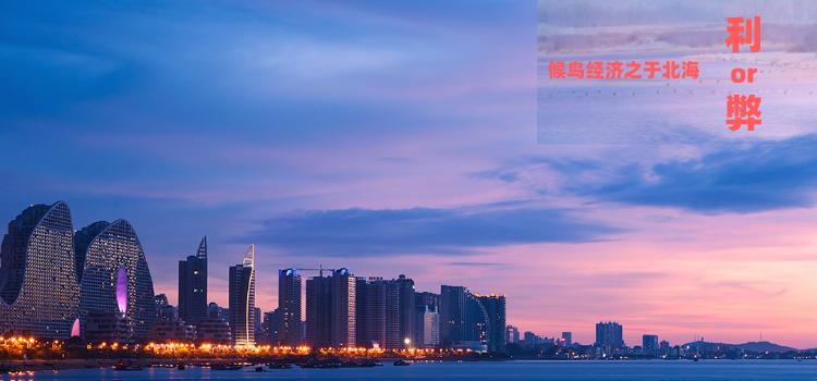 候鸟消费能力剑指何处，北海的候鸟经济究竟是利是弊？