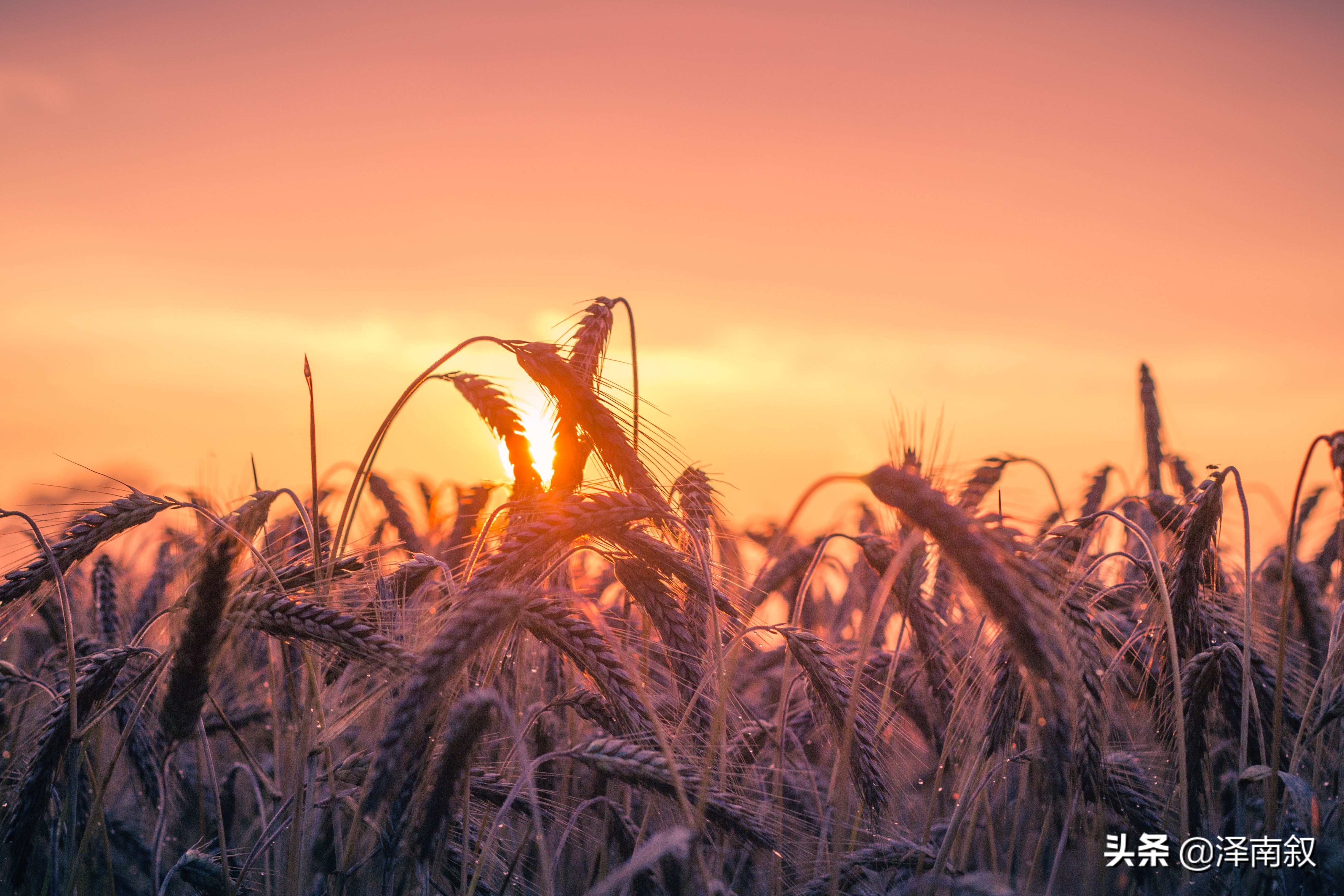 疫情过后一切都会变得更好,疫情要过去了一切都会好起来