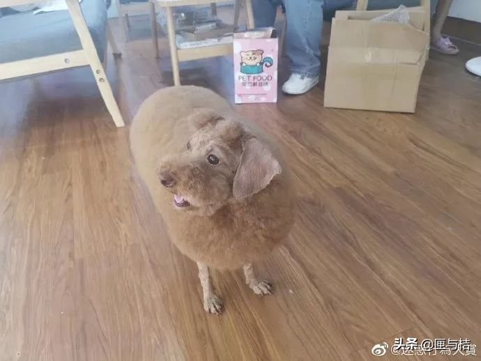 儿子心理有问题怎么办,儿子心理有毛病怎么办