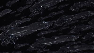 银河英雄传说军武,银河英雄传说中的战术