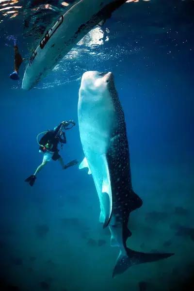 天津出发坐飞机2日游旅游推荐,天津出国旅游机票