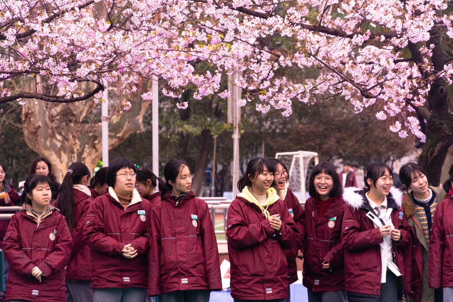 南京九中高中,南京快速崛起的高中