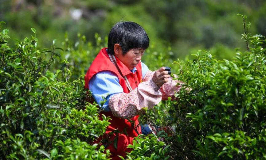 大学最冷门偏冷专业,被冷门专业录取了