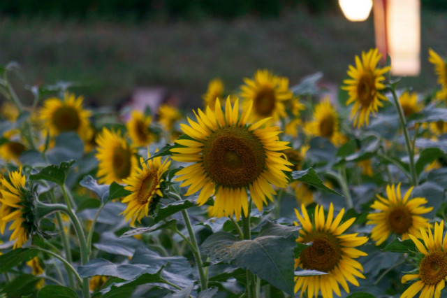 这是一份属于九零后的童年记忆，请查收。