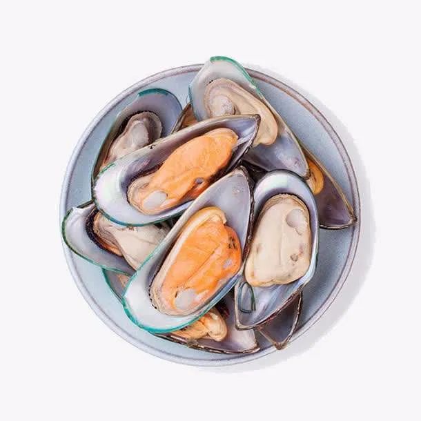 提高抵抗力的宠物食品,增加宠物抵抗力吃什么食物