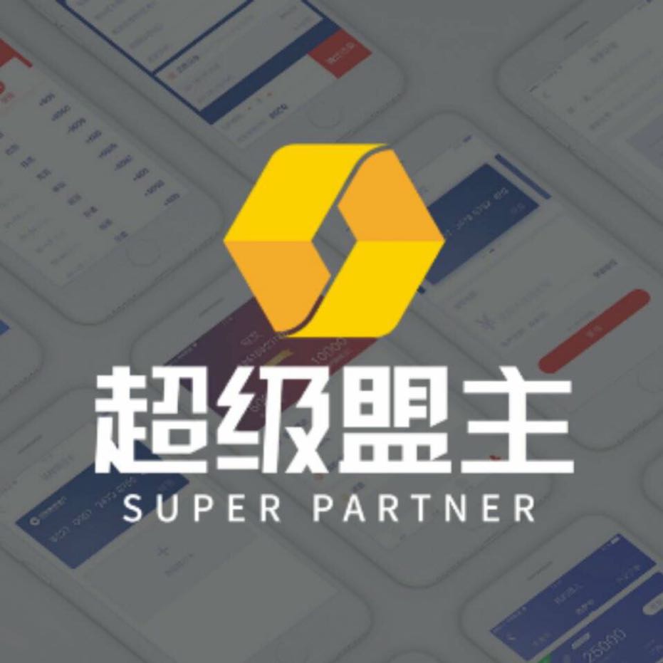 盛钱包支持二类卡结算吗,盛钱包注册