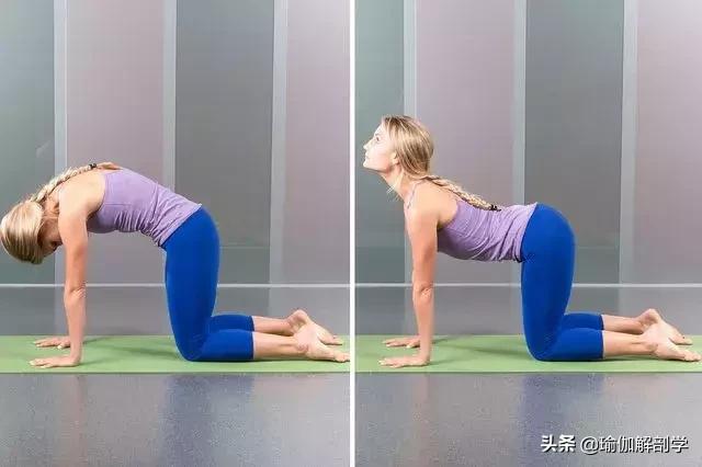 减肥瑜伽全套体式适合初学者,椅子瑜伽初学者体式照