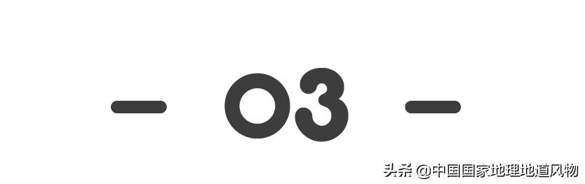 中国奥运冠军最多的是哪个城市,盛产奥运冠军的浙体院