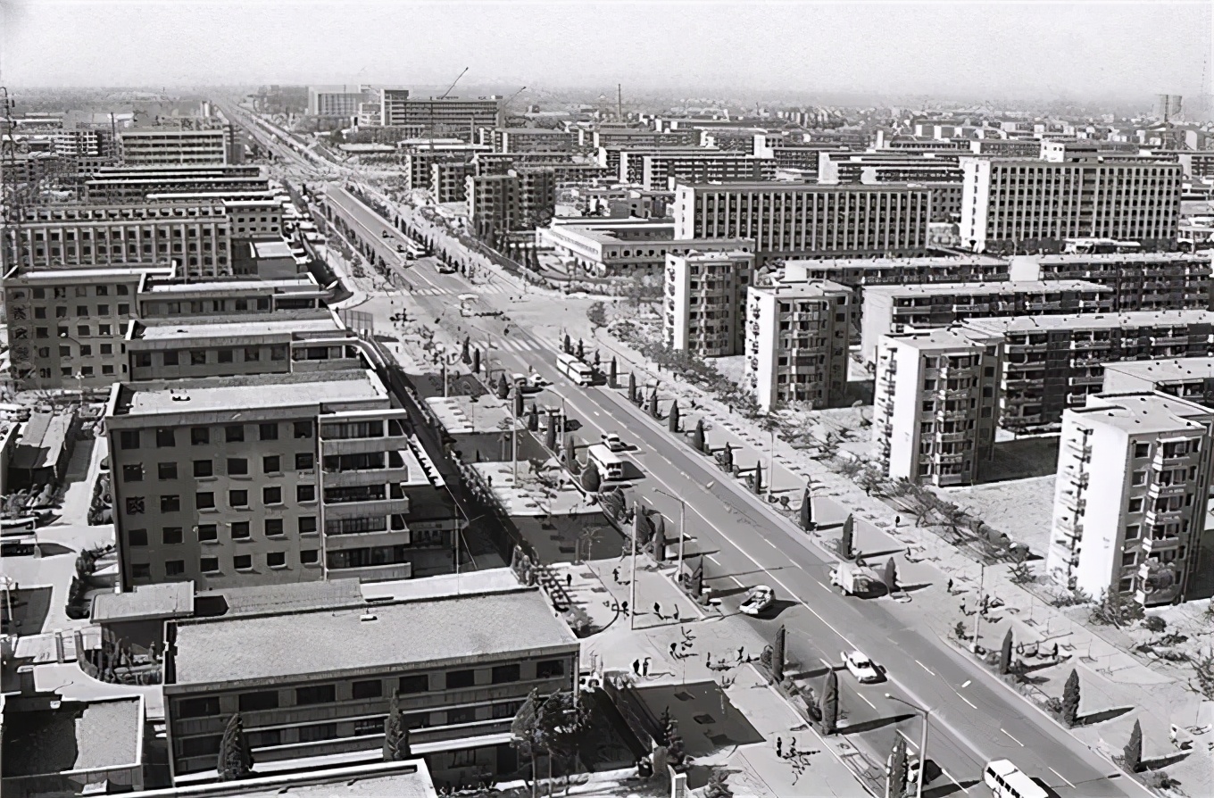 盛夏未来中张子枫撕心裂肺,张子枫十年前十年后