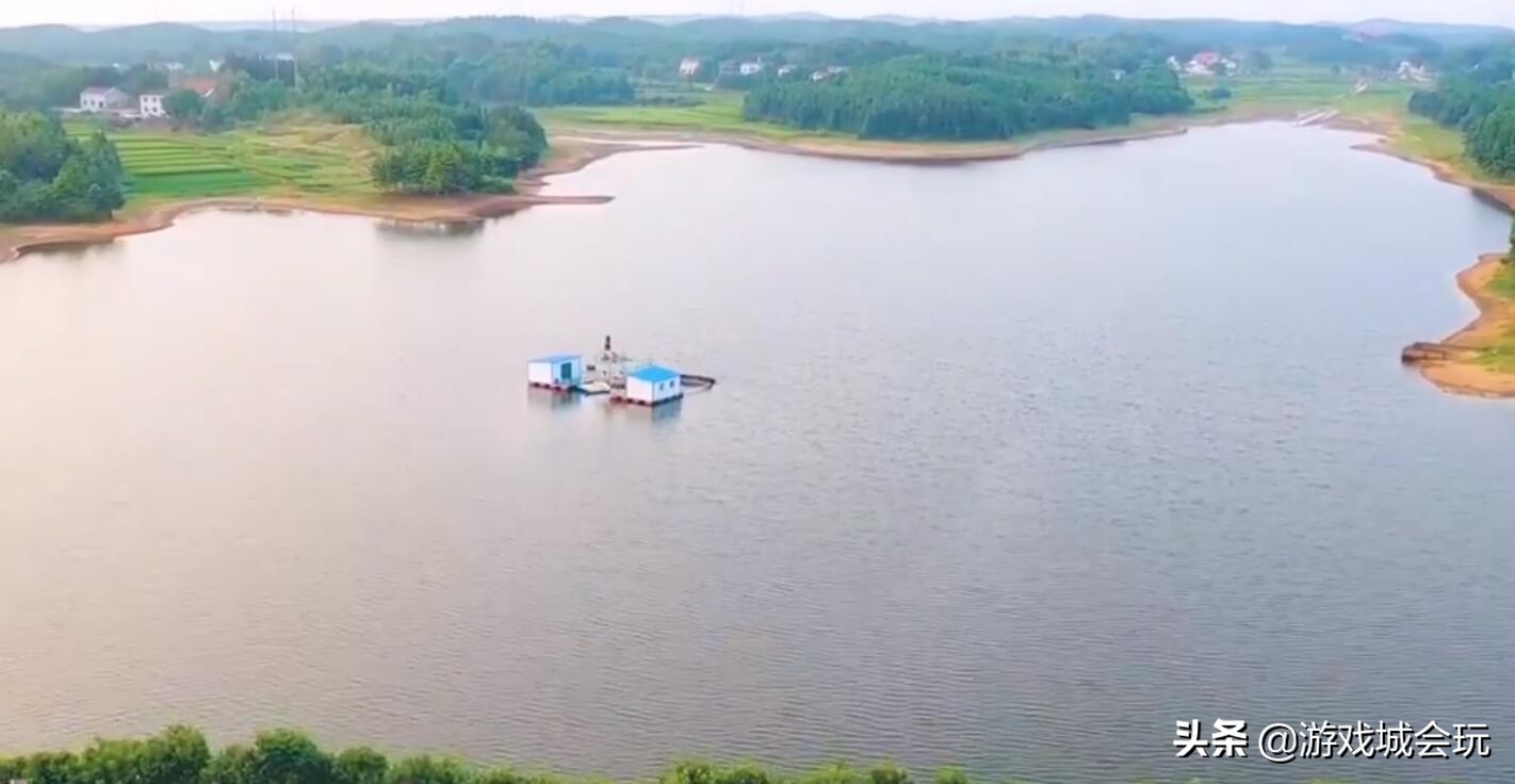 斗鱼2022年十大巅峰主播,斗鱼四大顶尖主播