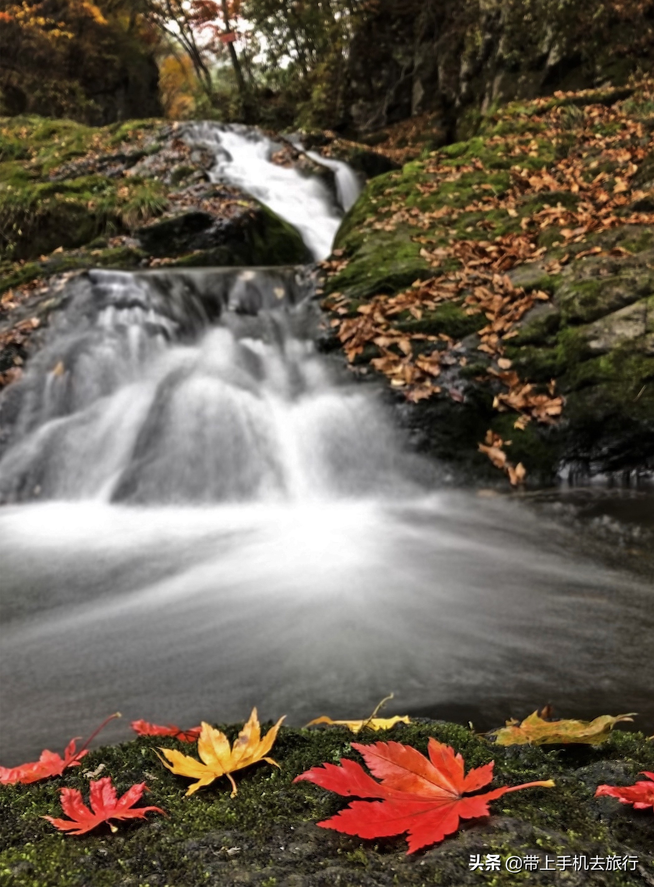 手机拍照是竖的好还是横的好,手机拍照横着和竖着的比例