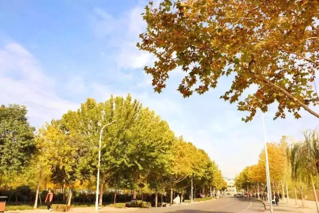 郑州向全球招才引智,郑州欢迎你2018