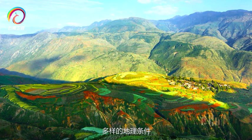 技能报国云南卫视回看,技能报国系列专题片