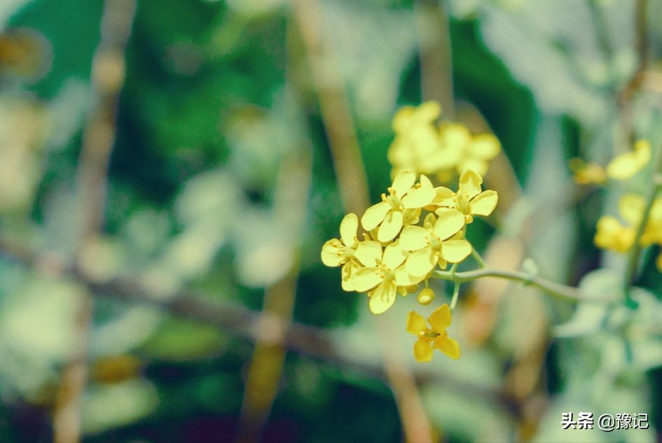 把故事讲给别人听,把故事讲给后来的人听