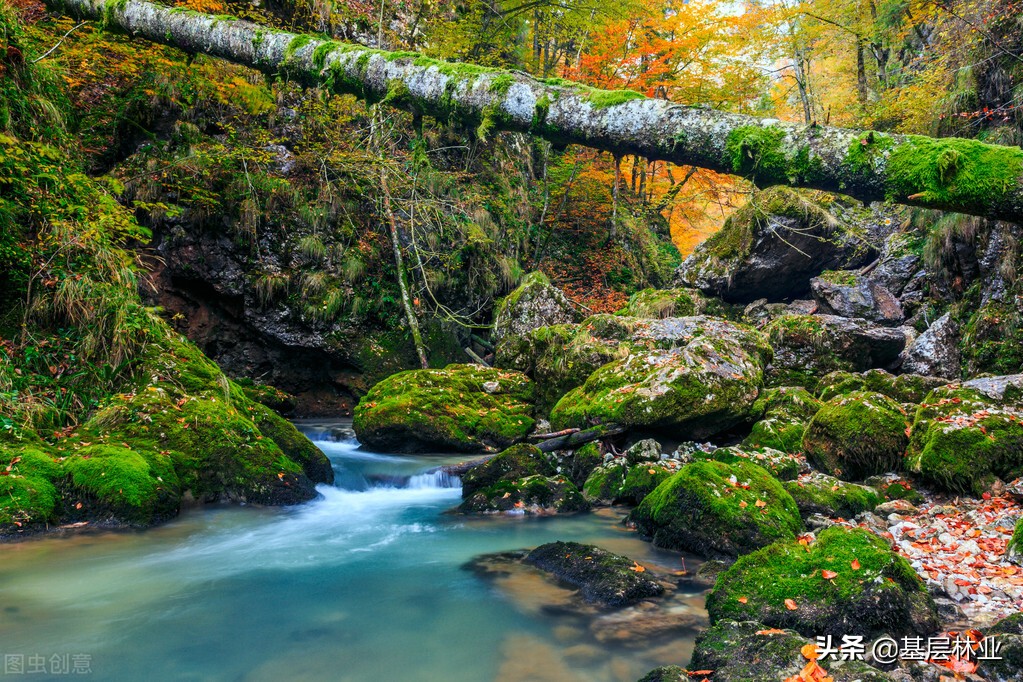 山蚂蝗被咬血止不住,山蚂蝗咬后痒怎么办