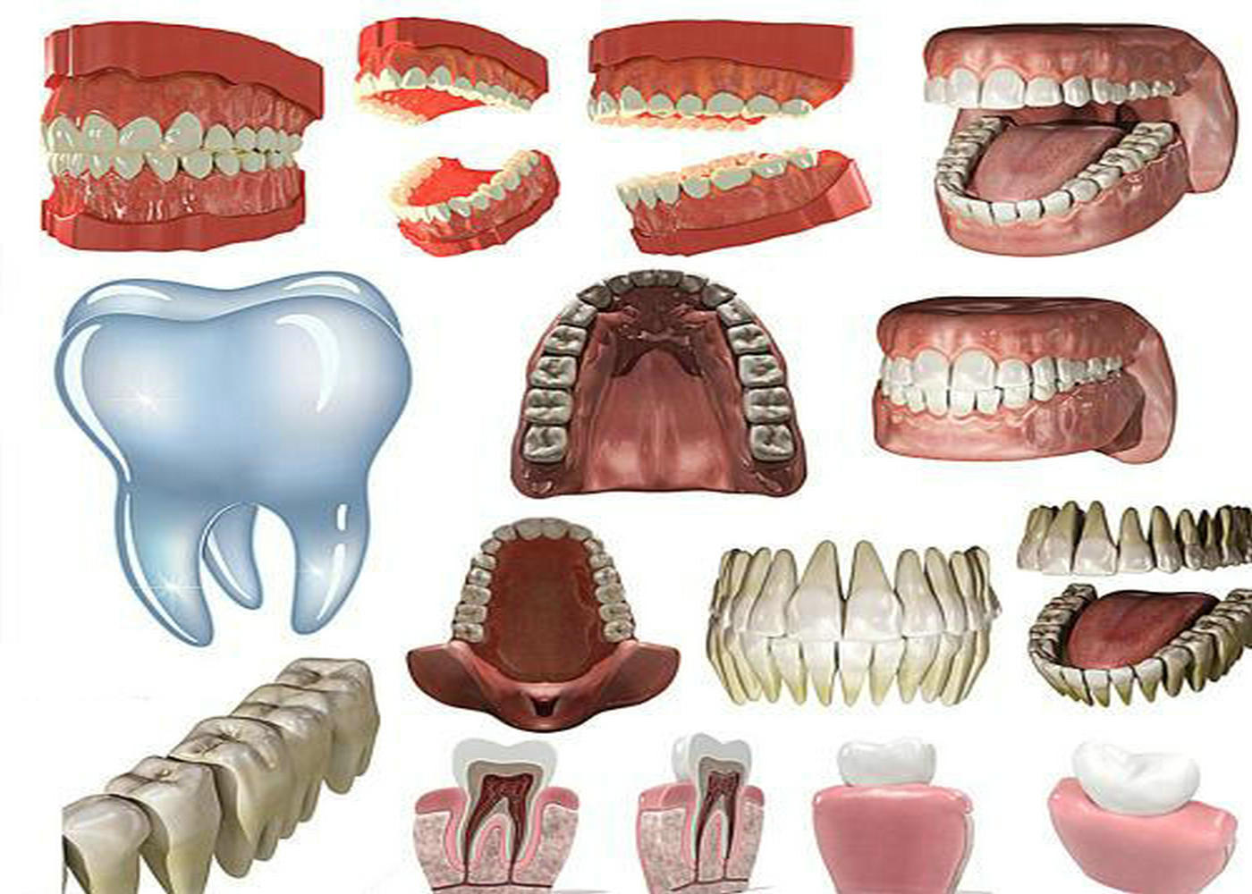 假牙制作纯手工,假牙新材料制作方法