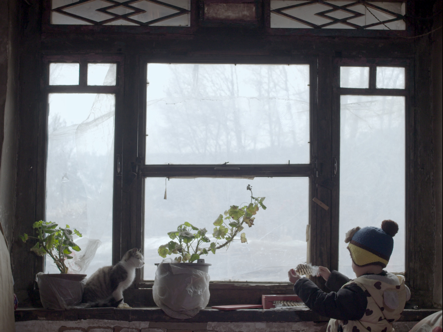 中国导演2019电影协会表彰大会,中国最好看的十大电影2020年的