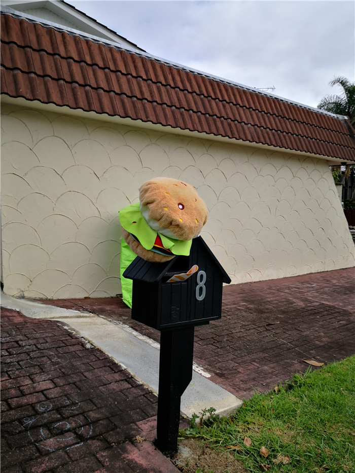 新西兰宅居第五天