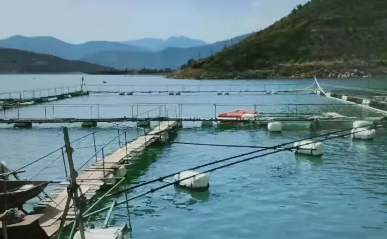 最高检长江经济带典型案例第三批,上海长江经济带