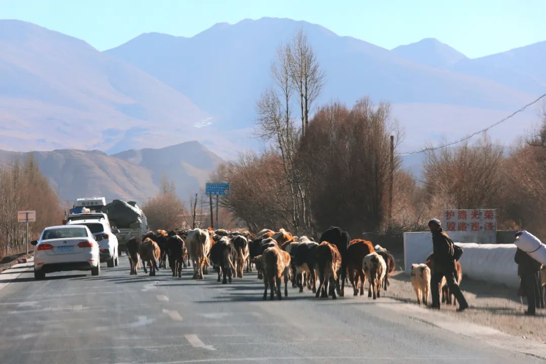 媲美新疆的地方,媲美西藏大北线的新疆自驾路线