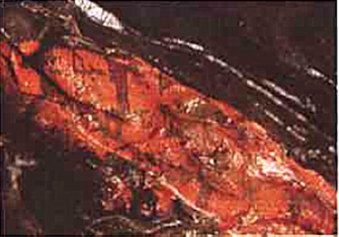 何为“锦？你知道形容美好的事物时，为啥都要用一个“锦”字吗？