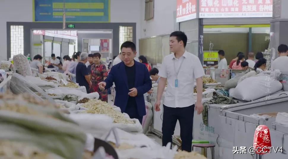 华佗故乡亳州药都之乡简介,亳州为什么被称为华佗故里