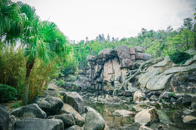 珠海横琴除了长隆还有什么东西玩,横琴有哪些景点可以玩儿