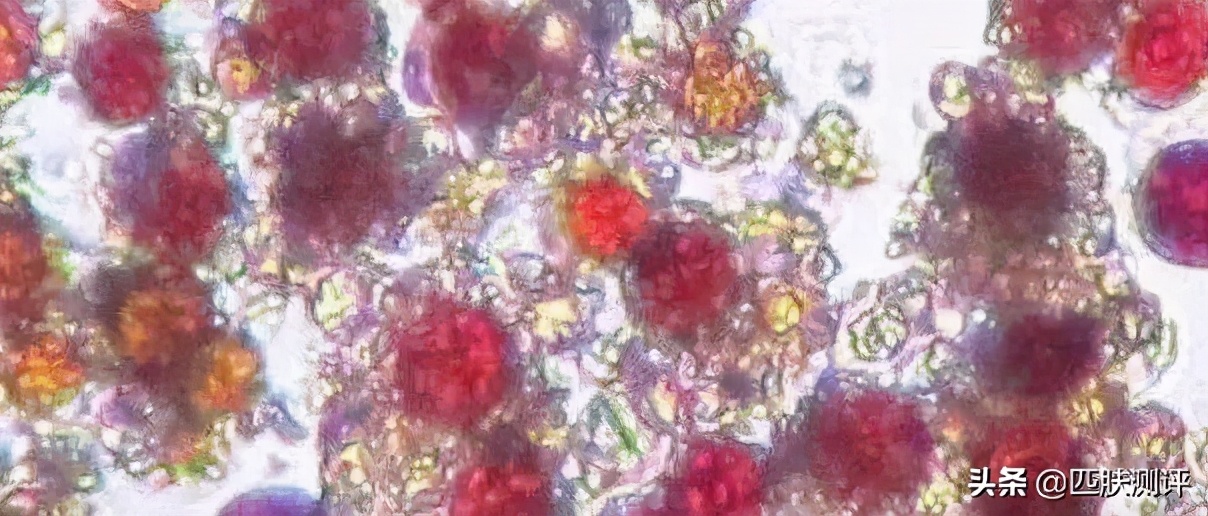 galenic法国科兰黎抗氧1号vc精华,galenic是法国的什么牌子