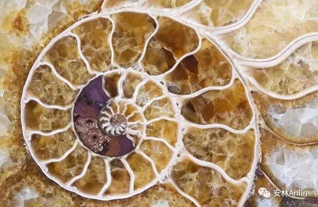 问道学堂课程,问道学堂