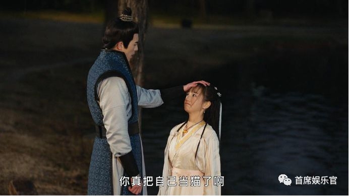 我在大理寺当宠物全集免费完整版,我在大理寺当宠物第1集到大结局