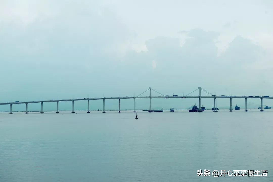 珠海第一座桥珠海大桥 (建造香港澳门珠海大桥花了几年)