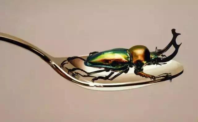 45岁韩国大叔,韩国45岁大叔