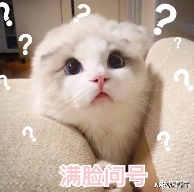 钱币海外拍卖成交是不是真实的 (海外拍卖钱币流程)