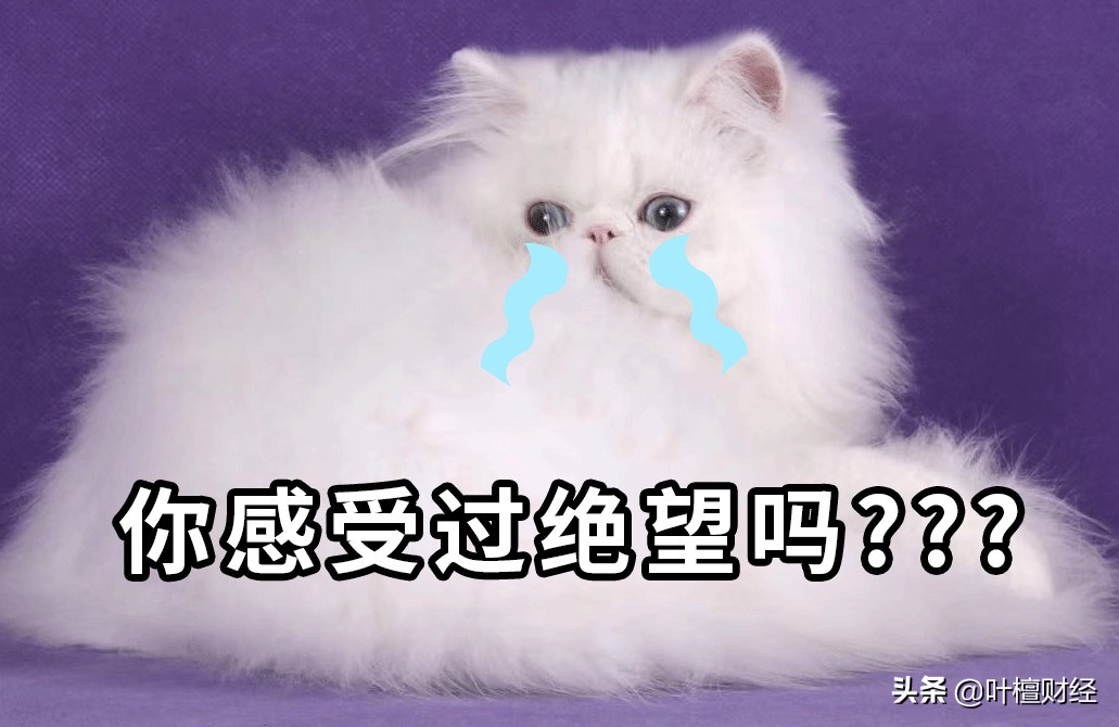 叶檀评地摊经济,叶檀谈发展一针见血