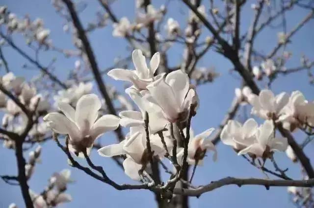 狂飙18级,狂飙18集公路飙车片段在哪