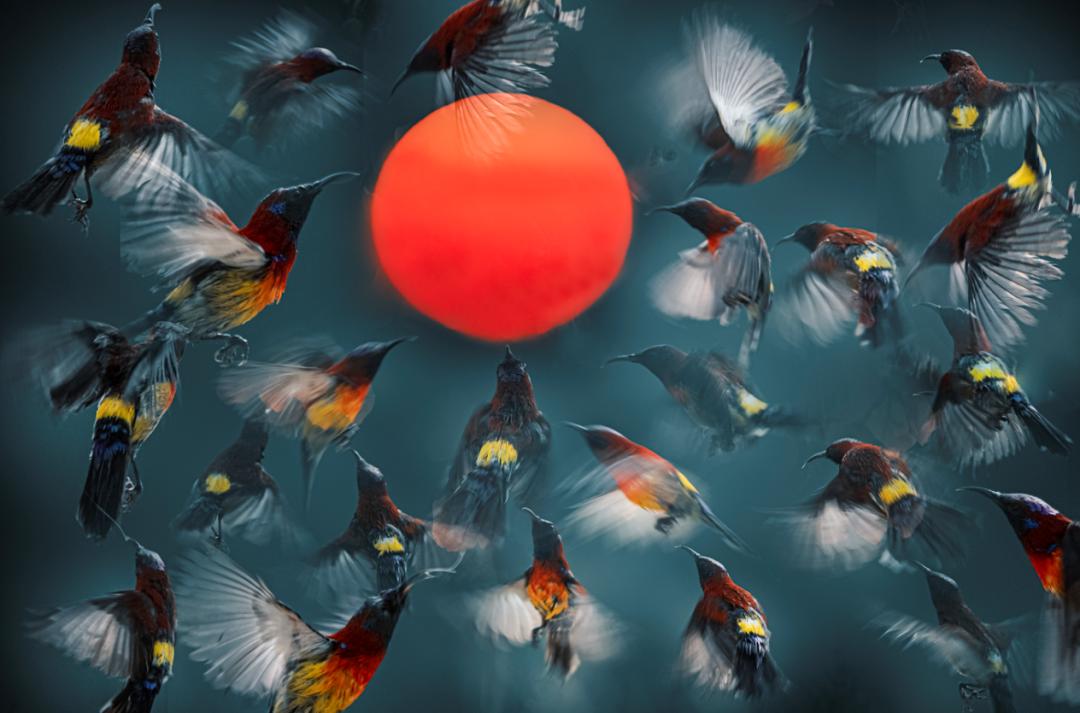 香港第14届全国摄影艺术展,第29届全国摄影艺术展览获奖名单