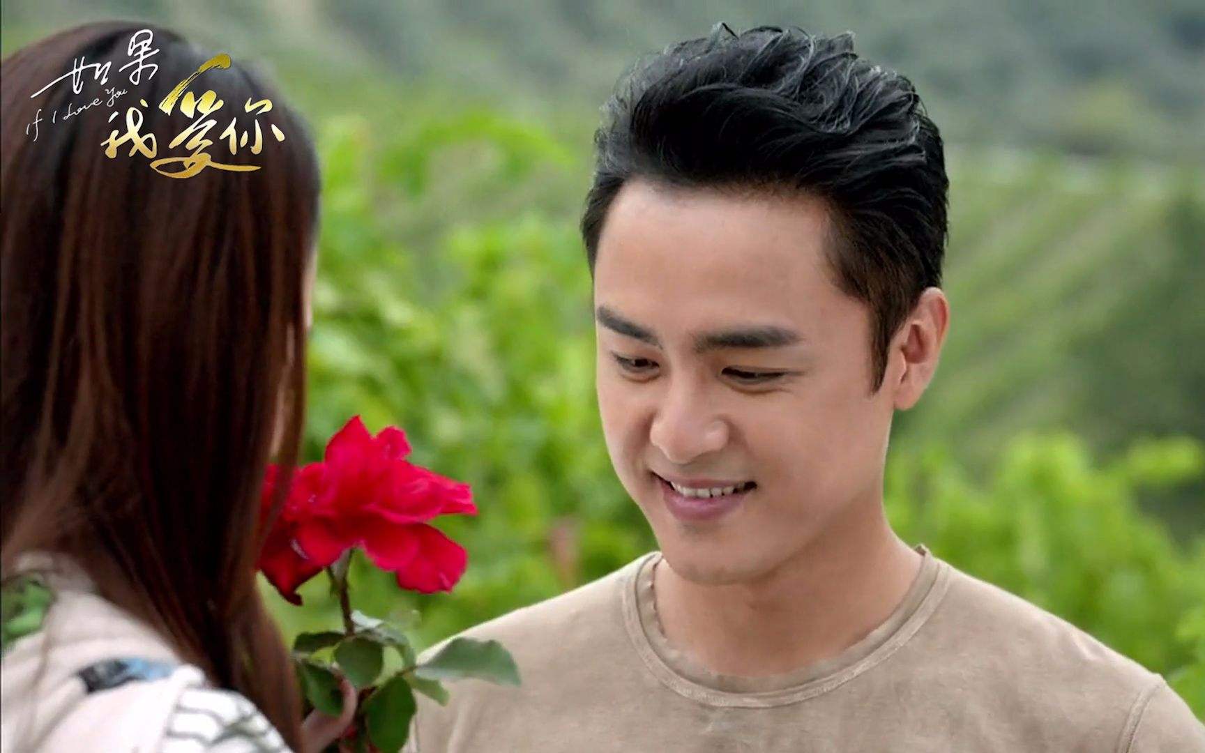 情节人送玫瑰这些话比情话更高大上，中医都给你点赞