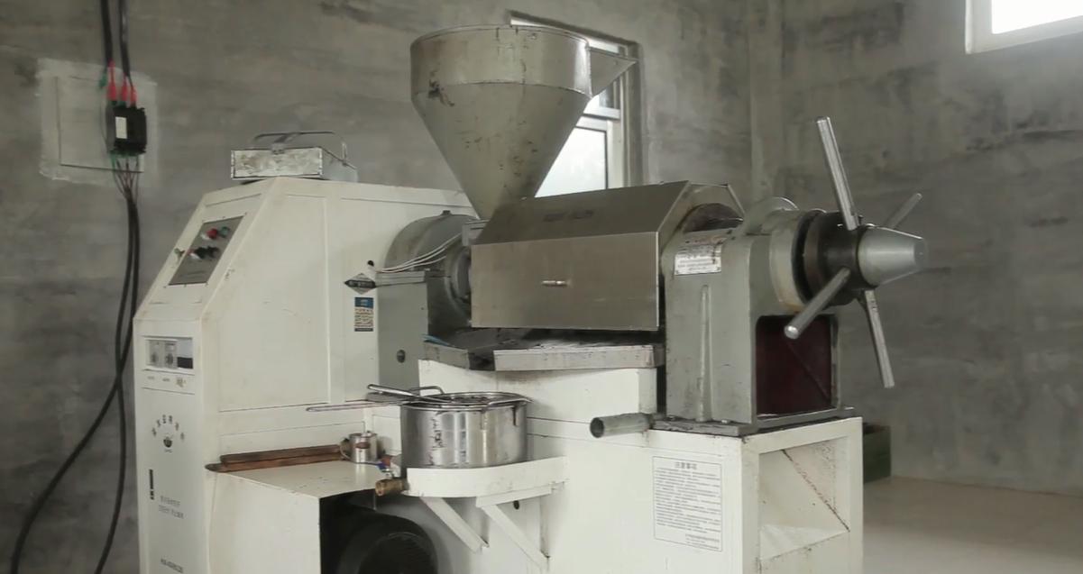 新型全自动大型榨油机全套,小型商用榨油机现榨现卖