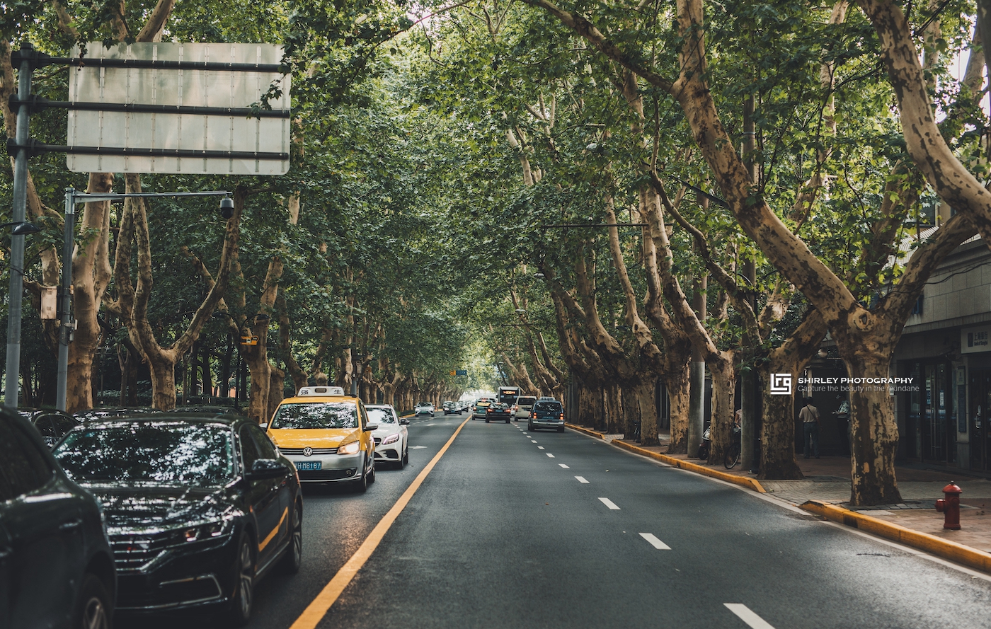 上海香榭丽舍大街,上海有一条东方的香榭丽舍大街