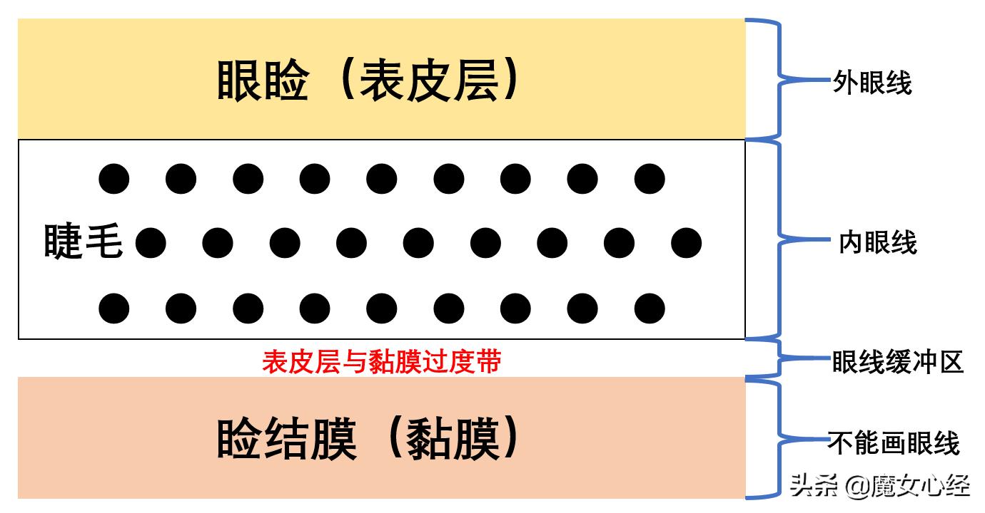 画内眼线和外眼线哪个危害更大,为什么医生不建议画内眼线