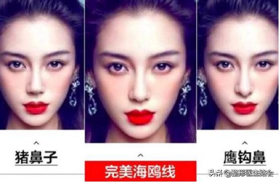 听说好看的鼻子都有一只海鸥在飞，你的海鸥飞得怎么样？