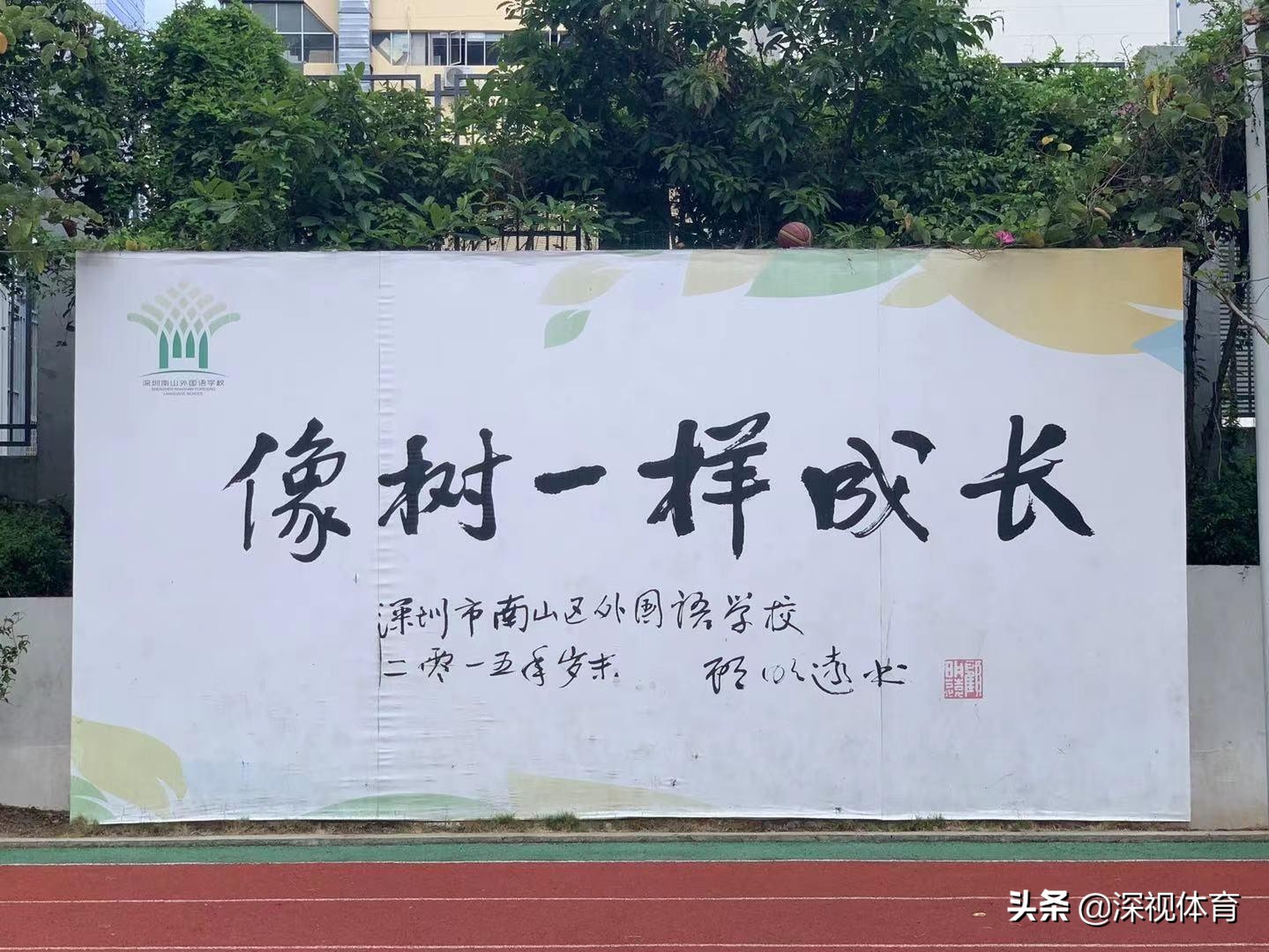 幼儿足球从娃娃抓起,中国足球从娃娃开始