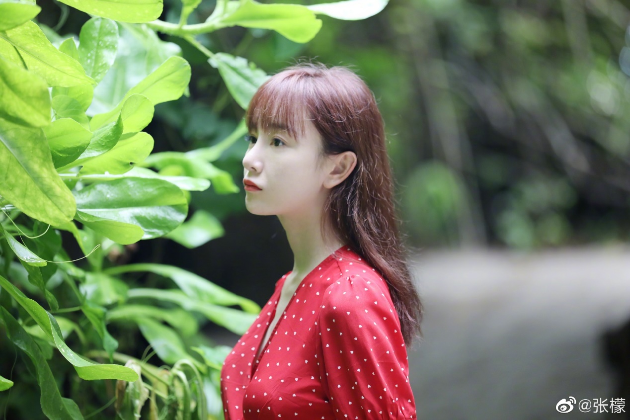 张檬是怎么当上演员的,张檬为什么15岁拍戏