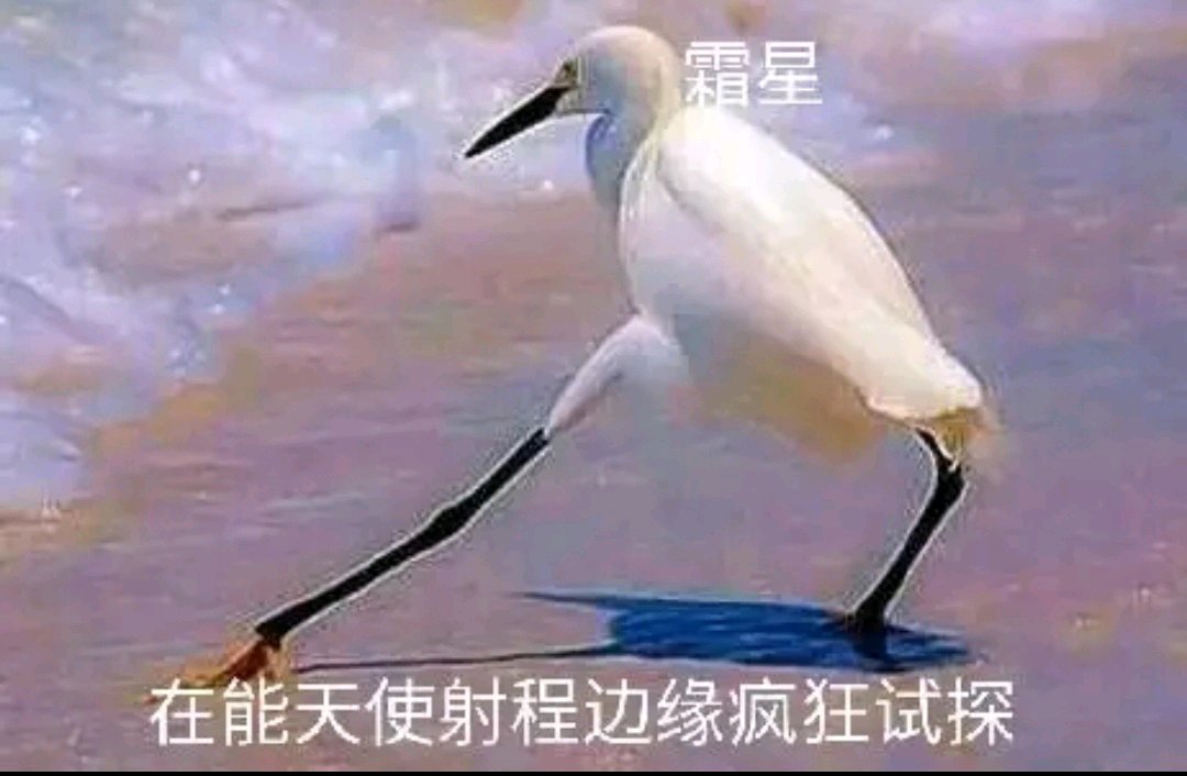 明日方舟雷蛇和芙兰卡,明日方舟爆笑沙雕图第1期